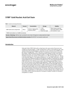 SYBR Gold Nucleic Acid Gel Stain