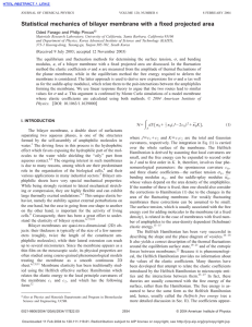 Statistical mechanics of bilayer membrane with a fixed projected area