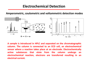 Electrochemical Detection
