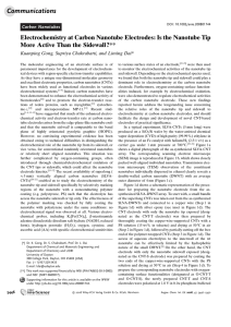 Electrochemistry at Carbon Nanotube Electrodes: Is the Nanotube