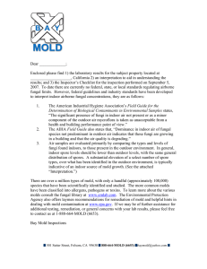 Mold Sample Report