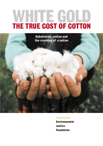 White Gold - The True Cost of Cotton