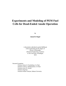 Experiments and Modeling of PEM Fuel Cells for Dead