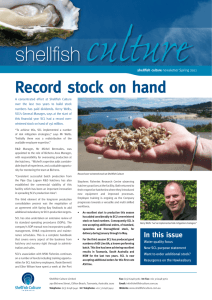 Record stock on hand - Shellfish Culture Ltd