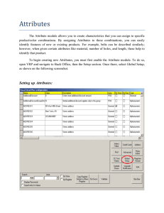 Attributes - Visual Retail Plus