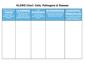 KLEWS Chart