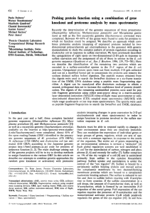 Probing protein function using a combination of gene knockout and