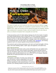 Terrariums, How to Clean