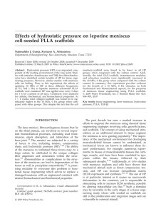 Effects of hydrostatic pressure on leporine meniscus cell