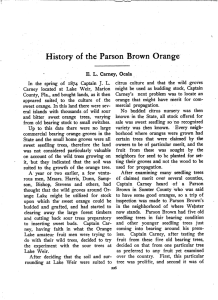 History of the Parson Brown Orange