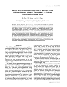 Salinity Tolerance and Osmoregulation in the Silver Perch, Bidyanus