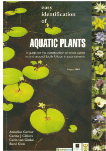 Easy identification of aquatic plants