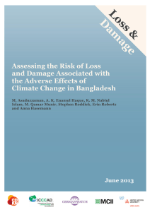 Download: Assessing the Risk of Loss and Damage