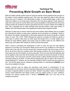 Preventing Mold Growth on Bare Wood - Perma