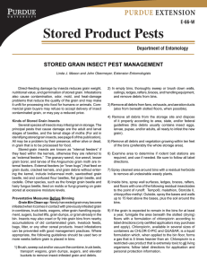 Stored Product Pests - Purdue Extension Entomology