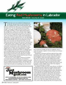 Red Mushrooms - FUNGI Magazine