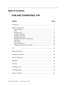 Table of Contents CVM AND CONVERTIBLE TOP