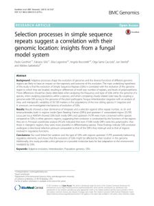 Selection processes in simple sequence repeats suggest a