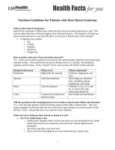 Nutrition Guidelines for Patients with Short Bowel