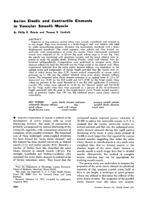 Series Elastic and Contractile Elements in Vascular Smooth Muscle