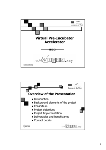 Virtual Pre-Incubator Accelerator