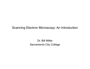 Scanning Electron Microscopy: An Introduction