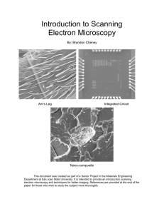 Introduction to Scanning Electron Microscopy