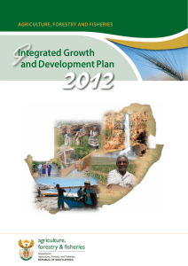 Integrated Growth and Development Plan