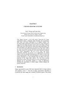 CHAPTER 5 COLOUR TEXTURE ANALYSIS Image - CIPA