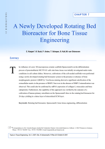 Chapter 7: A Newly Developed Rotating Bed Bioreactor for Bone