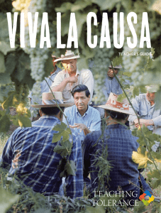 Viva La Causa: Teacher`s Guide