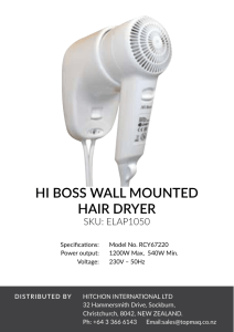 Hi Boss Wall Mounted Hair dryer