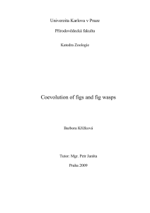 Coevolution of figs and fig wasps