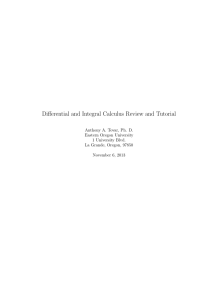 Differential and Integral Calculus Review and Tutorial