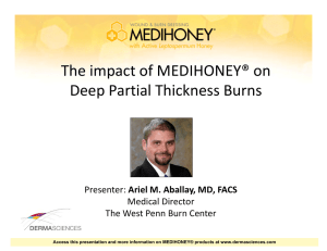 The impact of MEDIHONEY® on Deep Partial Thickness Burns