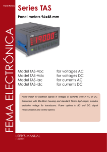 FEMA ELECTRÓNICA