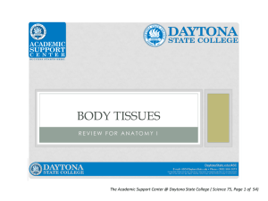BODY TISSUES - Daytona State College