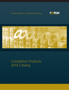 Completion Products 2014 Catalog