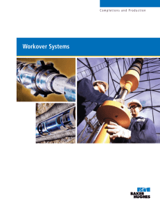 Workover Systems