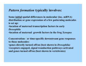 Pattern formation typically involves: