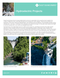 Factsheet: Hydroelectric projects