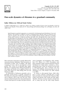 Fine-scale dynamics of rhizomes in a grassland community