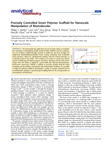 Precisely Controlled Smart Polymer Scaffold for Nanoscale