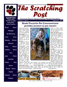 Sheila Trecartin: Pet Communicator provides answers to pet owners