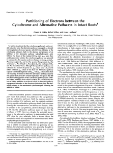 Partitioning of Electrons between the Cytochrome and Alternative