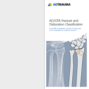 AO/OTA Fracture and Dislocation Classification