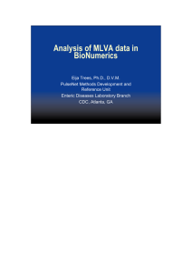 Analysis of MLVA data in BioNumerics