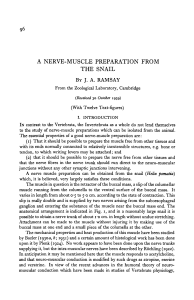 A NERVE-MUSCLE PREPARATION FROM THE SNAIL