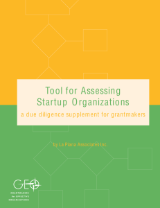 Tool for Assessing Startup Organizations