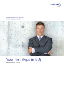 Your first steps in BBj